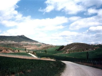 Foto Album